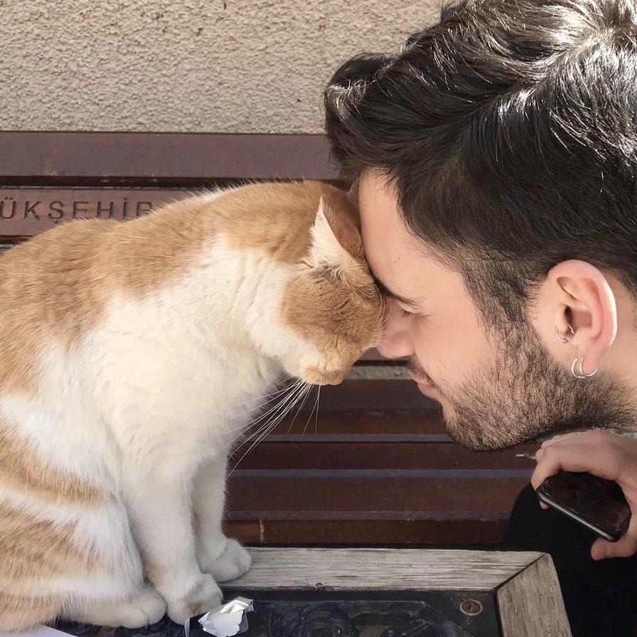 1079780102_3e6d4690-3421-4524-b67d-34fbf65937b1