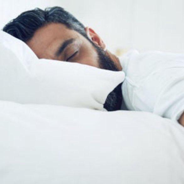 Shizuko Kempeneer Clubhouse Profile Followers Statistics Shizuko