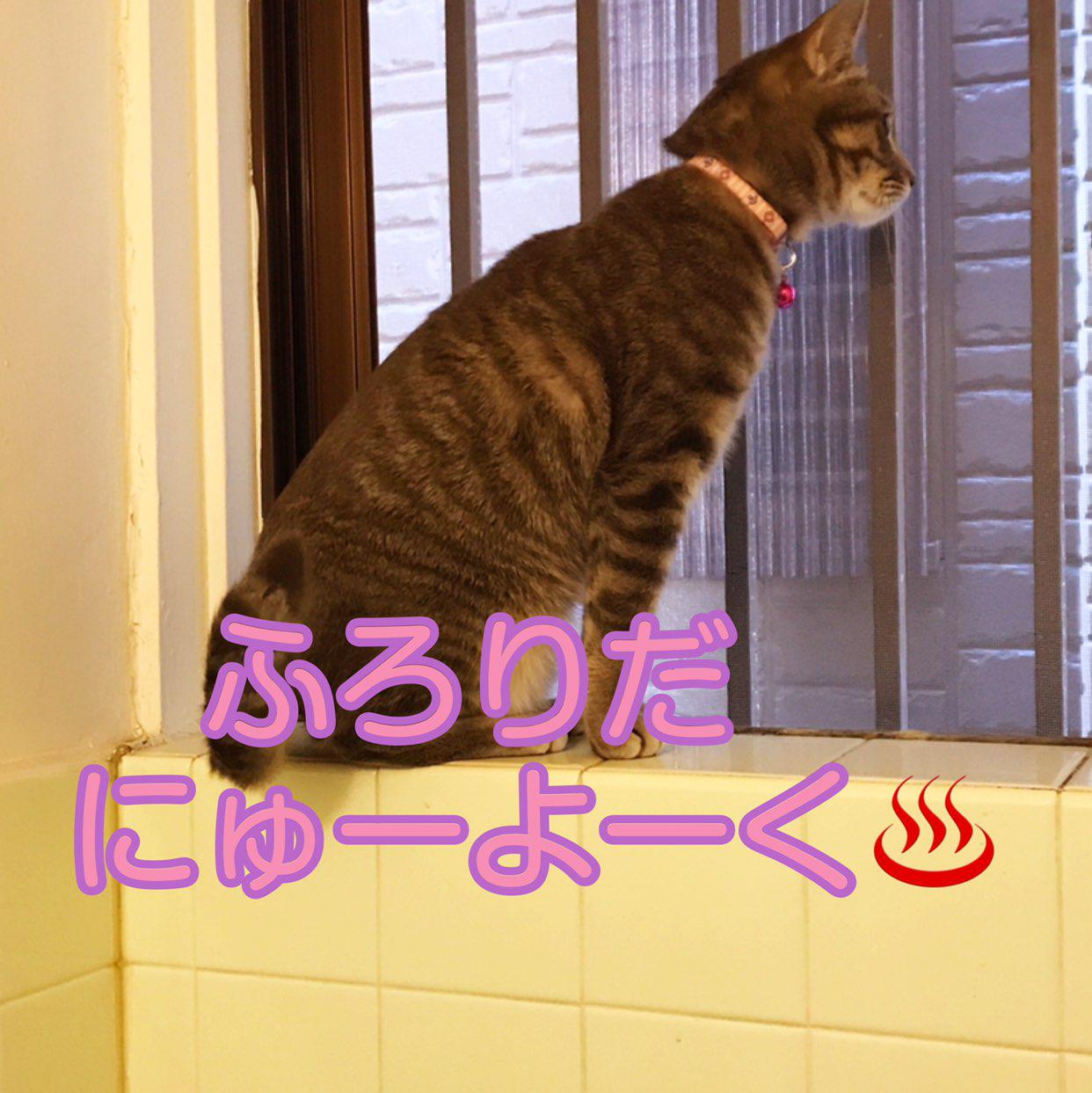 かずみを好きな人 Club On Clubhouse Followers Members Statistics