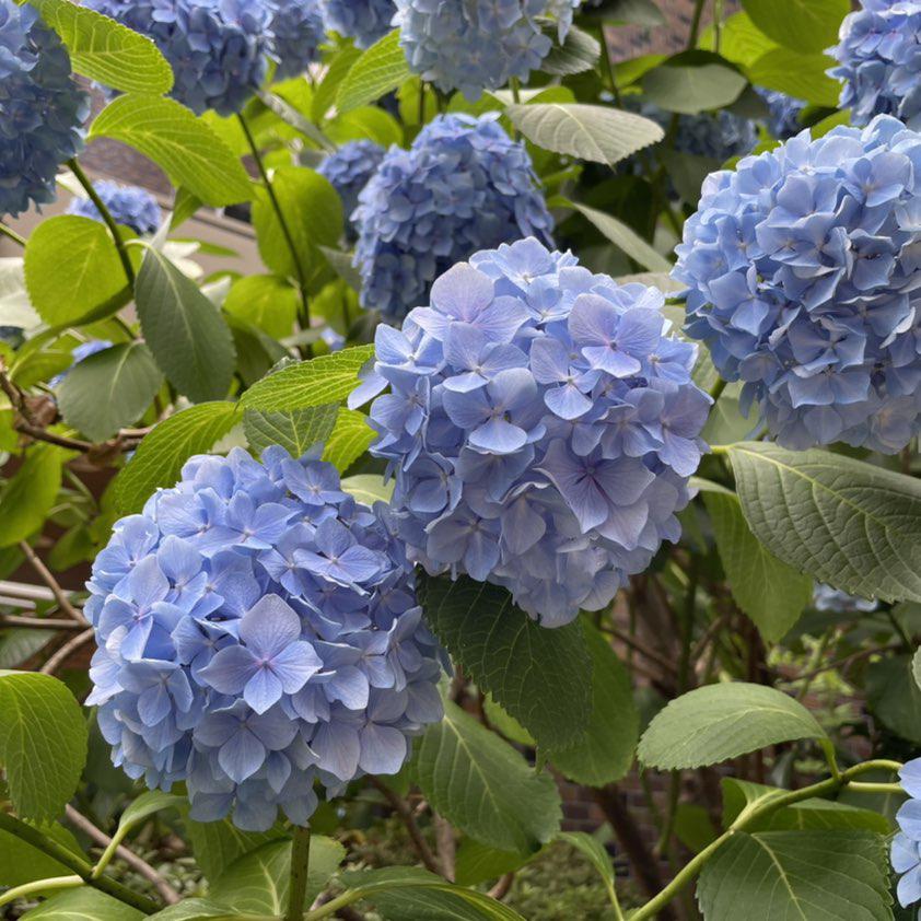 全日本おつかレーシックの会 Club On Clubhouse Followers Members Statistics