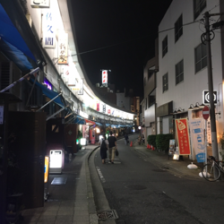 Haruka Kanai Clubhouse Profile Followers Statistics Halmin